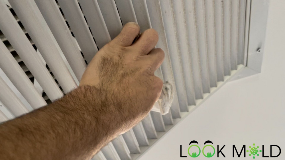 Dust-Sampling-on-Return