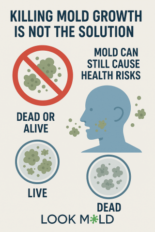 Mold Growth Can Cause Health Risks Killing Mold Growth Is Not A Solution