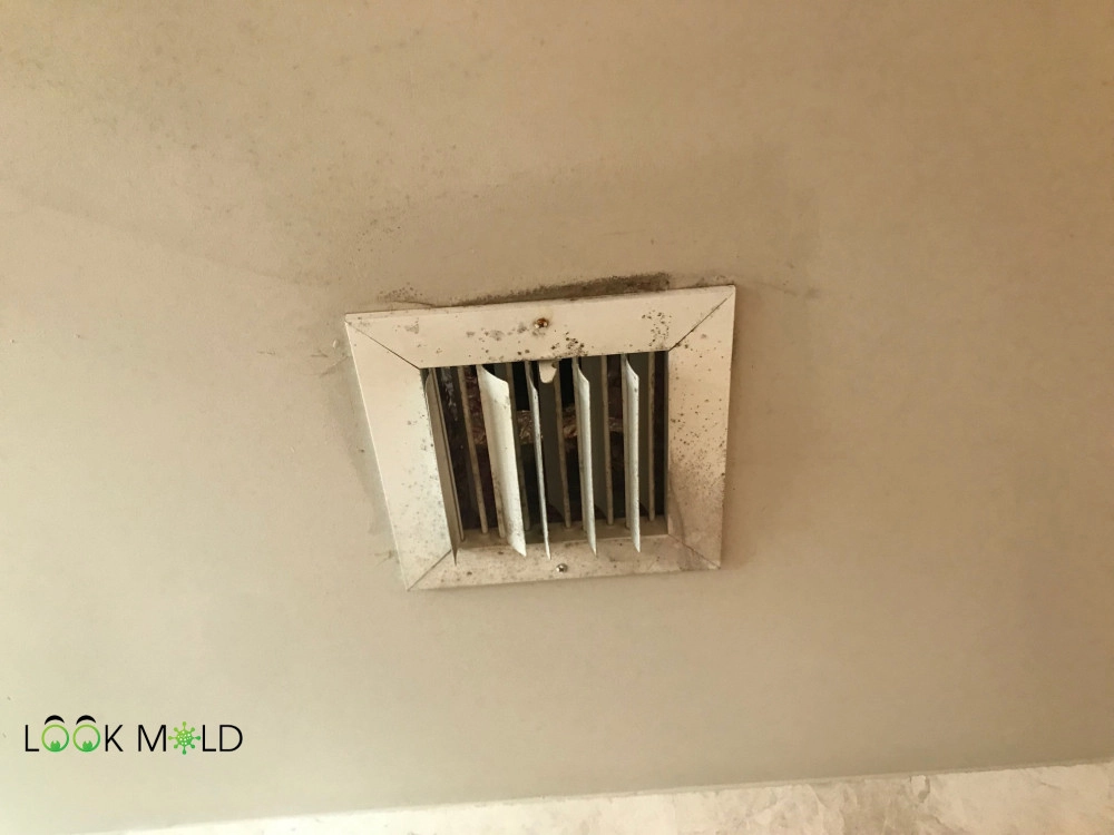 Mold-Around-Vents