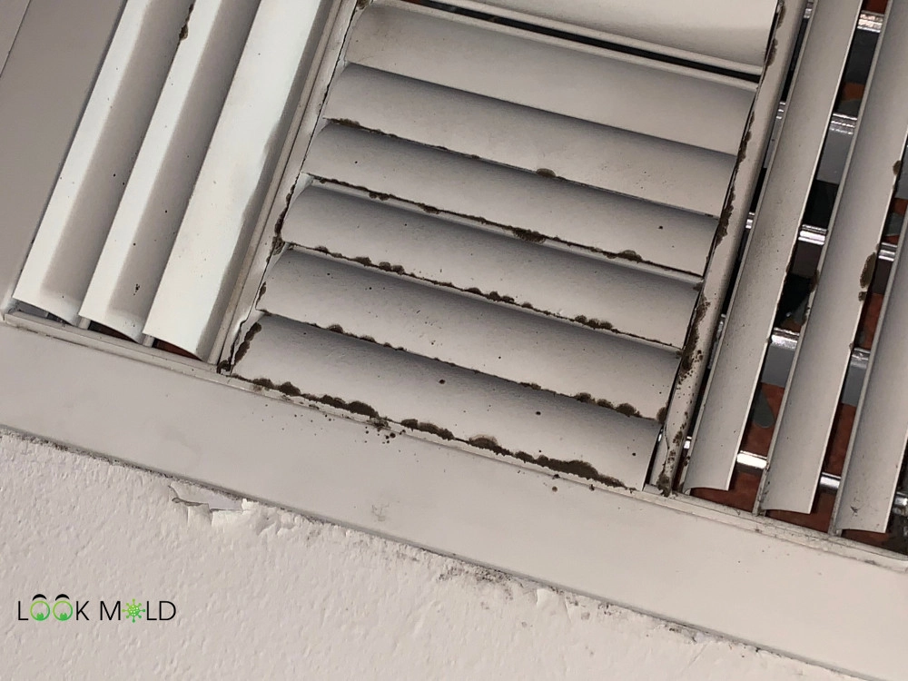 Mold-on-Vents